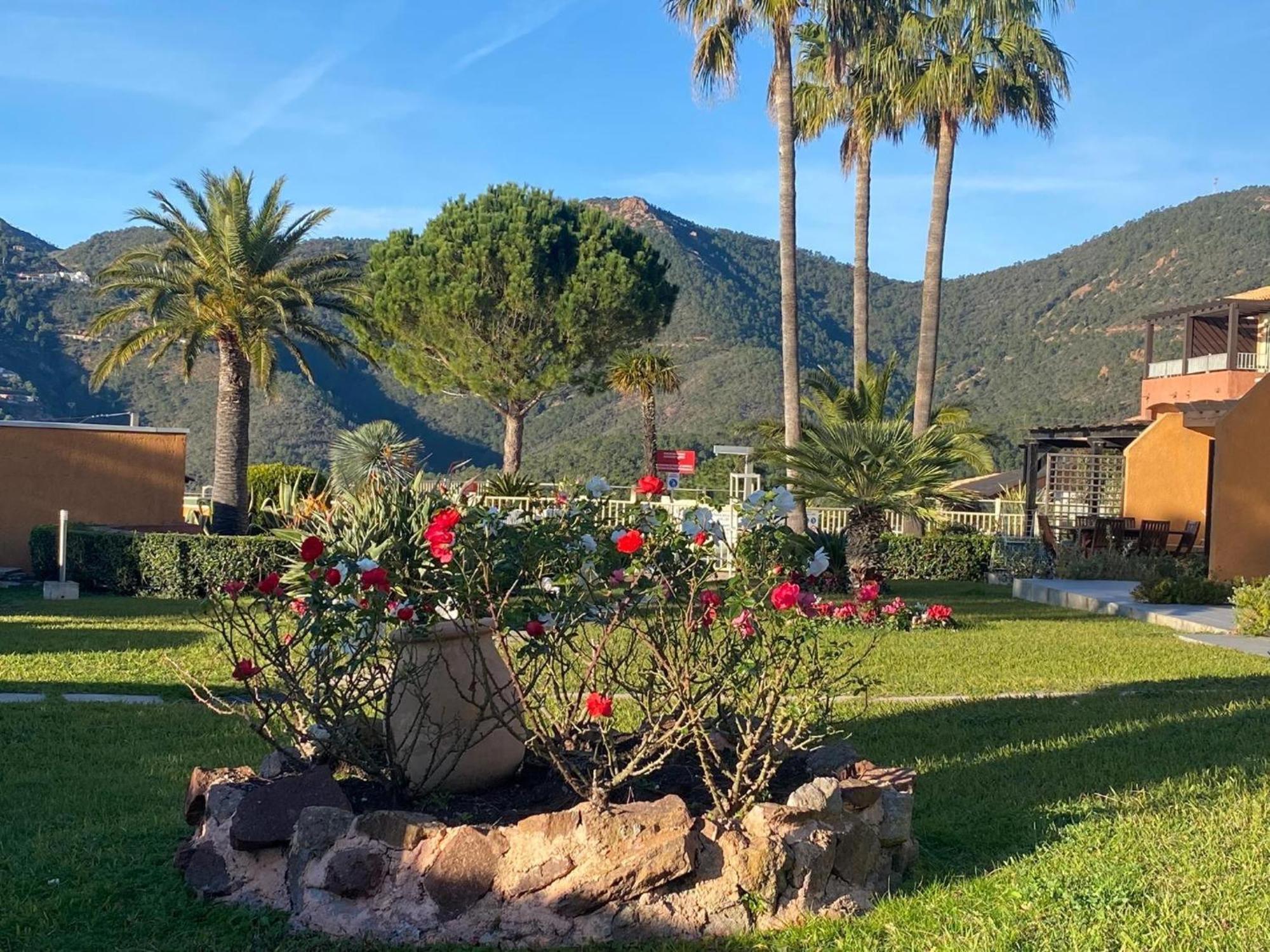 Vue Mer Et Jardin Théoule-sur-Mer Eksteriør billede